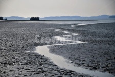 바다, 갯골, 물, 도랑, 갯벌, 사진,이미지,일러스트,캘리그라피 - pol 작가작가 크라우드픽 - 저작권 걱정 없는 상업용 이미지