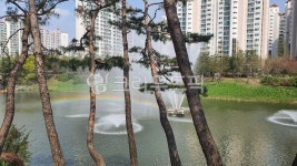 소나무, 무지개, 분수, 장자못, 자연, 사진,이미지,일러스트,캘리그라피 - 블루앤아이보리작가 크라우드픽 - 저작권 걱정 없는 상업용 이미지