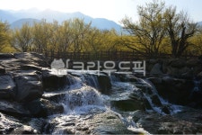 nature, 자연, outdoors, 옥외, 구례산동산수유마을, 사진,이미지,일러스트,캘리그라피 - 영산공작가 크라우드픽 - 저작권 걱정 없는 상업용... 