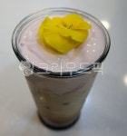 flower, 꽃, flowerarrangement, 컵, cup, 사진,이미지,일러스트,캘리그라피 - what the fun작가 크라우드픽 - 저작권 걱정 없는 상업용... 
