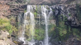 제주도, 천제연, 폭포, 서귀포, nature, 사진,이미지,일러스트,캘리그라피 - ddanddara80작가 크라우드픽 - 저작권 걱정 없는 상업용 이미지