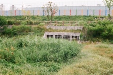 필름, 필름사진, 수변공원, 동네, 아날로그 사진, 이미지 - missu작가 가장 한국적인 스톡 사진 - 크라우드픽