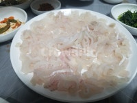 활어, 가자미, 자연산, 회, 횟감, 사진,이미지,일러스트,캘리그라피 - 비네팅작가 크라우드픽 - 저작권 걱정 없는 상업용 이미지