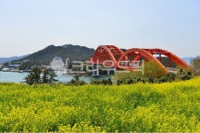 grassland, field, 들, farm, 농장, 사진,이미지,일러스트,캘리그라피 - 영산공작가 크라우드픽 - 저작권 걱정 없는 상업용 이미지