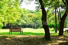 힐링, 벤치, 나무의자, 휴식, 쉼터, 사진,이미지,일러스트,캘리그라피 - space작가 크라우드픽 - 저작권 걱정 없는 상업용 이미지