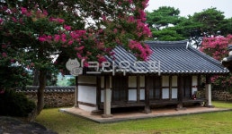 자연, 풍경, 경치, 포충사, 배롱나무꽃, 사진,이미지,일러스트,캘리그라피 - 서은작가 크라우드픽 - 저작권 걱정 없는 상업용 이미지