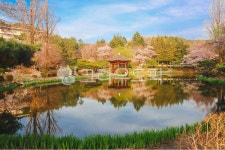 보문정, 경주, 보문단지, 호수, 자연, 사진,이미지,일러스트,캘리그라피 - FotógrafoGin작가 크라우드픽 - 저작권 걱정 없는 상업용 이미지