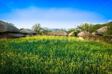 고창읍성, 초가집, 한옥마을, 하늘, 봄 사진, 이미지 - Nksungou작가 가장 한국적인 스톡 사진 - 크라우드픽