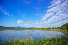 우포늪, 경남, 자연, 늪, 늪지, 사진,이미지,일러스트,캘리그라피 - PAPATOTO작가 크라우드픽 - 저작권 걱정 없는 상업용 이미지