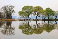 nature, 자연, water, 물, outdoors, 사진,이미지,일러스트,캘리그라피 - 영산공작가 크라우드픽 - 저작권 걱정 없는 상업용 이미지