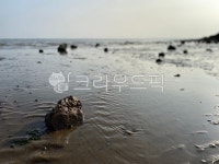 돌, 바다, 갯벌, 밀물, 썰물, 사진,이미지,일러스트,캘리그라피 - N1844khz작가 크라우드픽 - 저작권 걱정 없는 상업용 이미지