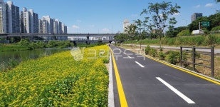 road, 도로, 서울, 중랑구, 중랑천길, 사진,이미지,일러스트,캘리그라피 - 자로랑작가 크라우드픽 - 저작권 걱정 없는 상업용 이미지