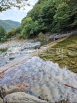 자연, 물, 나무, wilderness, water, 사진,이미지,일러스트,캘리그라피 - bumgu2작가 크라우드픽 - 저작권 걱정 없는 상업용 이미지