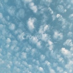 nature, 자연, 조각구름, 양털구름, 양떼구름, 사진,이미지,일러스트,캘리그라피 - hoygraphy작가 크라우드픽 - 저작권 걱정 없는 상업용 이미지