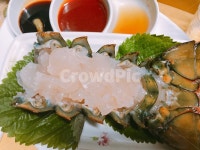 부산, 가재, 포장마차, 해운대, 회, 사진,이미지,일러스트,캘리그라피 - Nygh3326작가 크라우드픽 - 저작권 걱정 없는 상업용 이미지