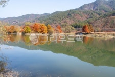 주천생태공원, 저수지, 진안, 가을, 단풍, 사진,이미지,일러스트,캘리그라피 - inwall작가 크라우드픽 - 저작권 걱정 없는 상업용 이미지