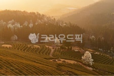 rural, 농촌, farm, 농장, nature, 사진,이미지,일러스트,캘리그라피 - 영산공작가 크라우드픽 - 저작권 걱정 없는 상업용 이미지