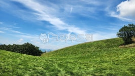 자연, 목장, 언덕, nature, farm, 사진,이미지,일러스트,캘리그라피 - Schneia작가 크라우드픽 - 저작권 걱정 없는 상업용 이미지