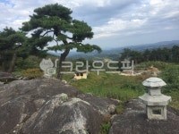 언덕, 자연, 소나무, nature, 흐림, 사진,이미지,일러스트,캘리그라피 - valentine21작가 크라우드픽 - 저작권 걱정 없는 상업용 이미지