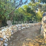 돌담길, 풍경, 예쁜길, 예쁜풍경, 시골돌담, 사진,이미지,일러스트,캘리그라피 - syryu1007작가 크라우드픽 - 저작권 걱정 없는 상업용 이미지