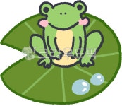개구리, 연잎, 물방울, frog, lotusleaves, 사진,이미지,일러스트,캘리그라피 - pdadok1115작가 크라우드픽 - 저작권 걱정 없는 상업용... 