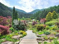 정원, 가든, 숲, 아침고요수목원, 수목원, 사진,이미지,일러스트,캘리그라피 - track작가 크라우드픽 - 저작권 걱정 없는 상업용 이미지