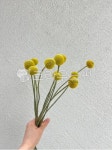 flowerarrangement, 꽃꽂이, flower, 꽃, 골든볼, 사진,이미지,일러스트,캘리그라피 - cooky8923작가 크라우드픽 - 저작권 걱정 없는... 