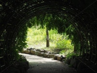 arbour, 정자, outdoors, garden, 정원, 사진,이미지,일러스트,캘리그라피 - catchnation작가 크라우드픽 - 저작권 걱정 없는 상업용 이미지