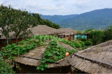 scenery, 풍경, 경남, 하동, 평사리, 사진,이미지,일러스트,캘리그라피 - 영산공작가 크라우드픽 - 저작권 걱정 없는 상업용 이미지