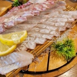 회, 자연산회, 광어, 우럭, 광어회, 사진,이미지,일러스트,캘리그라피 - ppoiuy44작가 크라우드픽 - 저작권 걱정 없는 상업용 이미지