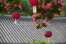 화순만연사, 만연사홍등, 만연사겨울, 배롱나무, 무등산국립공원, 사진,이미지,일러스트,캘리그라피 - 늘푸른작가 크라우드픽 - 저작권 걱정 없는... 