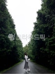 tree, 나무, 사람, walking, 숲속, 사진,이미지,일러스트,캘리그라피 - SSOOP작가 크라우드픽 - 저작권 걱정 없는 상업용 이미지