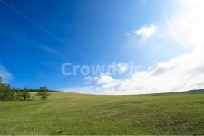 초원, 몽고, 하늘, 구름, 언덕, 사진,이미지,일러스트,캘리그라피 - pradis작가 크라우드픽 - 저작권 걱정 없는 상업용 이미지