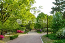 서울, 공원, 장충동, 장충단공원, 산책, 사진,이미지,일러스트,캘리그라피 - imlover작가 크라우드픽 - 저작권 걱정 없는 상업용 이미지