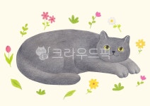 일러스트, 수작업, 색연필, 색연필화, 그림, 사진,이미지,일러스트,캘리그라피 - 유자디자인작가 크라우드픽 - 저작권 걱정 없는 상업용 이미지