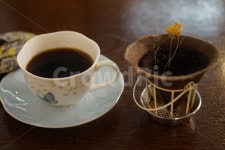 커피, 커피한잔, 커피꽃, 커피향, 여유, 사진,이미지,일러스트,캘리그라피 - 커피쟁이작가 크라우드픽 - 저작권 걱정 없는 상업용 이미지