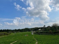 목장, 초원, 들판, 구름, 하늘, 사진,이미지,일러스트,캘리그라피 - fulluna작가 크라우드픽 - 저작권 걱정 없는 상업용 이미지