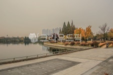 공원, 호수, 물, 산책로, 옥외, 사진,이미지,일러스트,캘리그라피 - imlover작가 크라우드픽 - 저작권 걱정 없는 상업용 이미지