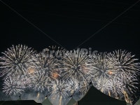 불빛축제, 포항, 불꽃, 폭죽, 축제, 사진,이미지,일러스트,캘리그라피 - 잉작가 크라우드픽 - 저작권 걱정 없는 상업용 이미지