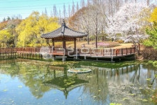 진주수목원풍경, 연못, 정자, 반영, 진주수목원, 사진,이미지,일러스트,캘리그라피 - 깜찍이 사진일기작가 크라우드픽 - 저작권 걱정 없는 상업용... 