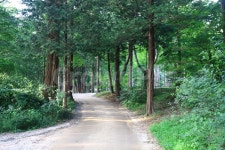 남이섬, 가로수, 가로수길, 메타세쿼이아, 자연풍경, 사진,이미지,일러스트,캘리그라피 - Lee군작가 크라우드픽 - 저작권 걱정 없는 상업용 이미지