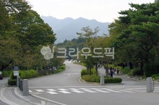 서울대공원, 공원, 도로, 풍경, 과천대공원, 사진,이미지,일러스트,캘리그라피 - Deep bLUE작가 크라우드픽 - 저작권 걱정 없는 상업용 이미지