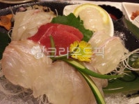 광어야참치야 | 회, 모듬회, 참치회, 광어회, 흰살생선, 사진,이미지,일러스트,캘리그라피 - ilang작가 크라우드픽 - 저작권 걱정 없는 상업용 이미지