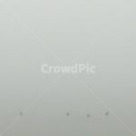 물안개, 안개, 물, 강, 오리, 사진,이미지,일러스트,캘리그라피 - 건축창고작가 크라우드픽 - 저작권 걱정 없는 상업용 이미지