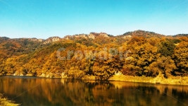 가을, 노루벌, 흑석동, 메타세콰이어, 가을풍경, 사진,이미지,일러스트,캘리그라피 - blackSky작가 크라우드픽 - 저작권 걱정 없는 상업용 이미지