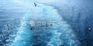 자연, 바다, 물, 파도, 배가지나간바다, 사진,이미지,일러스트,캘리그라피 - oksa00작가 크라우드픽 - 저작권 걱정 없는 상업용 이미지