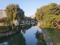 장자호수공원, 공원, 강가, 버드나무, 공원뷰, 사진,이미지,일러스트,캘리그라피 - 퓨들퓨들작가 크라우드픽 - 저작권 걱정 없는 상업용 이미지