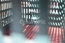 바구니, 틈, 공간, 초록, 빨강, 사진,이미지,일러스트,캘리그라피 - dotorisaeha작가 크라우드픽 - 저작권 걱정 없는 상업용 이미지