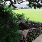 시골, 수레, 밤나무, 그늘, 풀밭, 사진,이미지,일러스트,캘리그라피 - 풀잎작가 크라우드픽 - 저작권 걱정 없는 상업용 이미지