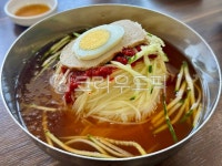 밀면, 부산밀면, 물밀면, 부산물밀면, 부산음식, 사진,이미지,일러스트,캘리그라피 - aamin작가 크라우드픽 - 저작권 걱정 없는 상업용 이미지